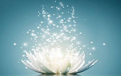 stylized lotus image